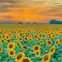 第一次这本书的读后感汇聚