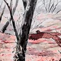 西游记读后感作文100汇总