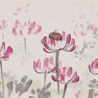 洗完碗的读后感30字汇合