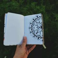 论持久战队读后感精选