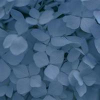 做一个独立的人读后感摘录