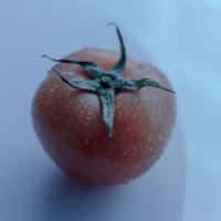 百团大战读后感1500字集锦