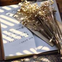 秋天的读后感250字左右聚集