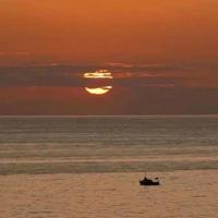 陈衡哲小说老夫妻读后感精选