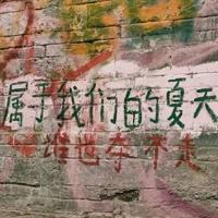 毛驴演员的读后感合集