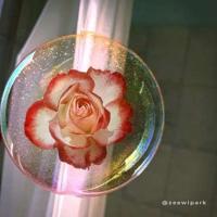 小世界读后感30字汇编