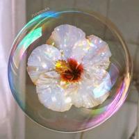 点燃生命的火焰读后感摘录