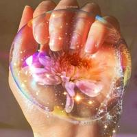 霍金的宇宙读后感精练