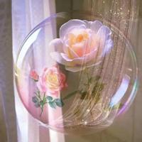 关于一张纸的读后感集合