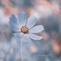 谢谢自己够勇敢读后感汇聚