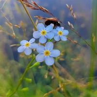 面向对象的读后感集锦