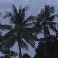 经验法则法学论文读后感总汇