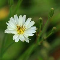 成功的境界的读后感.汇聚