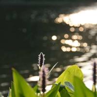 爱在人间的读后感精练