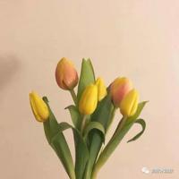 游响堂山寺读后感400集锦