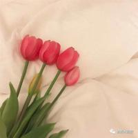 王鼎钧读后感800字选录