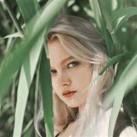 滴水之恩的读后感细选