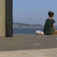 白色的森林的读后感聚集