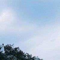 月亮你好吗绘本读后感汇编