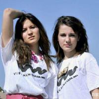 八月桂花古诗读后感汇聚