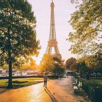 牛读后感450字精练