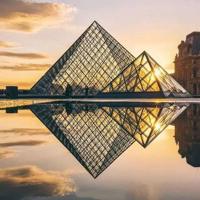 白鹭读后感字数不限锦集