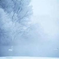 甲午中日站争读后感集锦