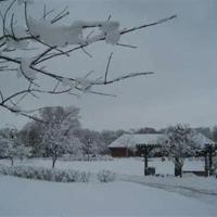 狐狸和小鸭子故事读后感精选