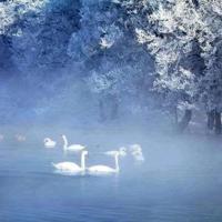 生命的掌声550读后感汇编