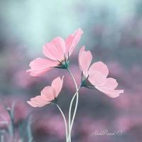 抗战从这里开始读后感细选