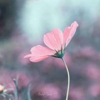 保护自己的读后感集锦