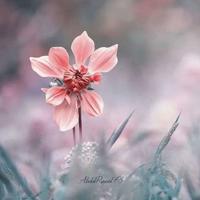 进入学校的读后感汇合