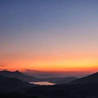 失踪的森林读后感精选