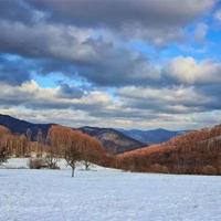 5年级读后感草房子细选