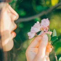 丑小鸭读后感450字汇合