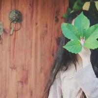 狼车山五壮士读后感汇聚