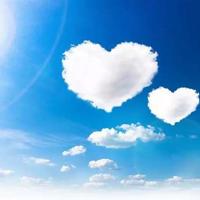 三年级美人树读后感细选