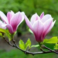 豆豆去打仗读后感400字精选