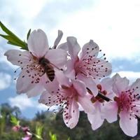 查拉图斯如是说读后感汇总