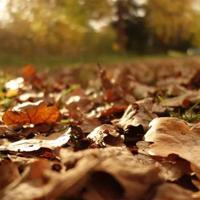 望远镜故事读后感总汇