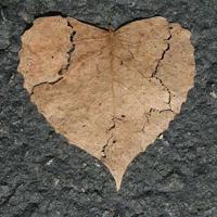 星辰书蔡东读后感汇合