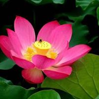 三年级语文书香校园读后感汇合