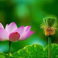 佚名《冬雨》读后感合集