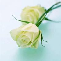 怪医杜里德读后感整理