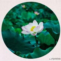 小松鼠找房子的读后感精选