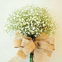 读后感500生命进行曲汇编