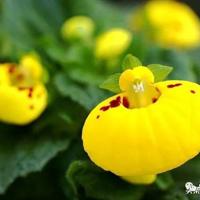 小溪淙淙河流潺潺读后感聚集