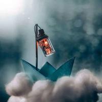 顽皮的孩子故事读后感聚集