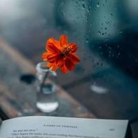 红军不怕远征难读后感字集锦