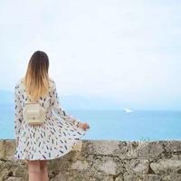 长在岩石下的小花的读后感集锦